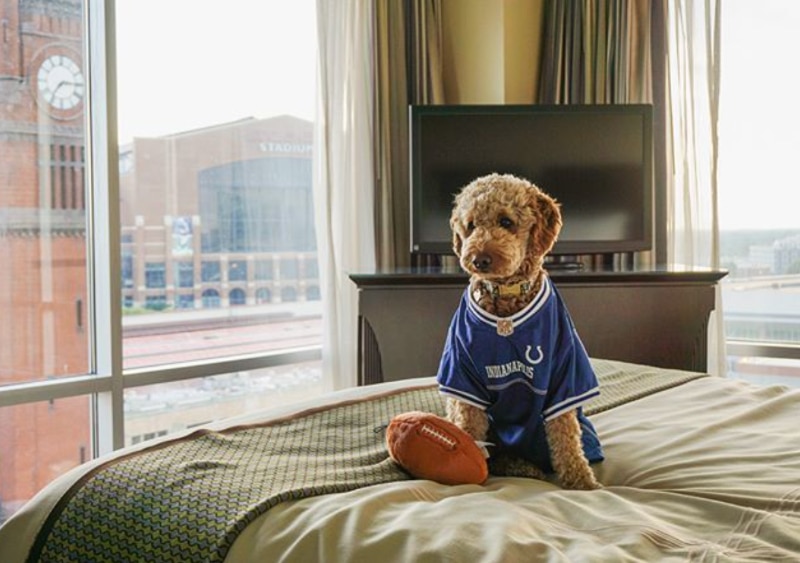 Omni Severin Indianapolis