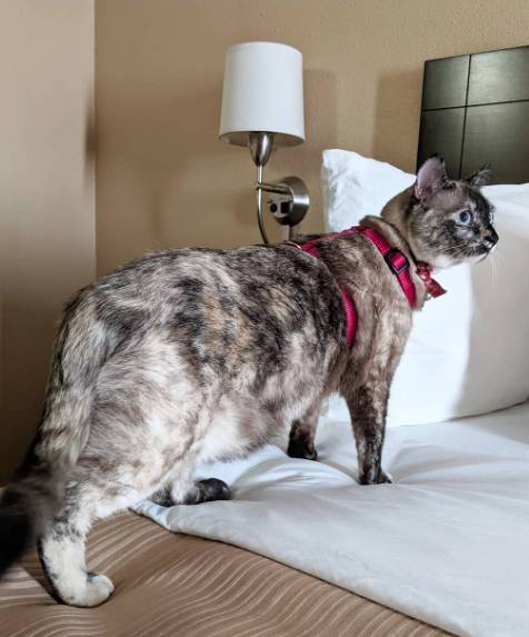 Quality Inn Winchester