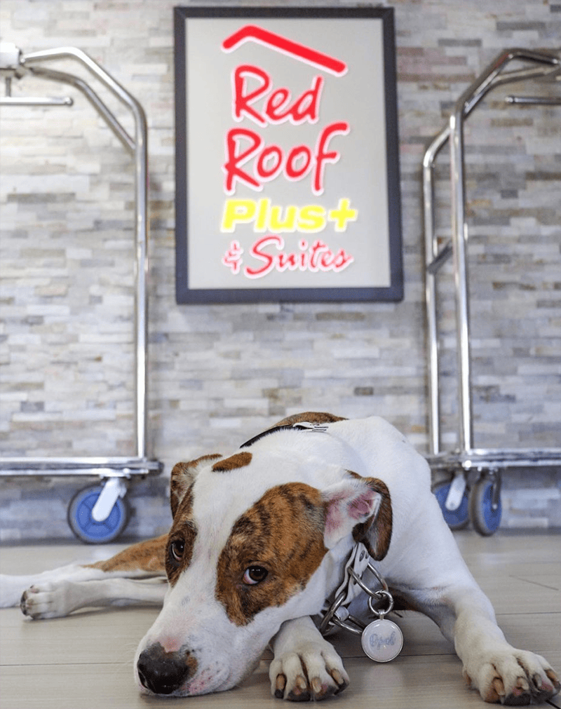 Red Roof Inn Tupelo