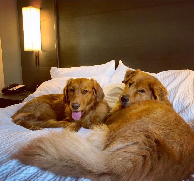 Residence Inn Indianapolis