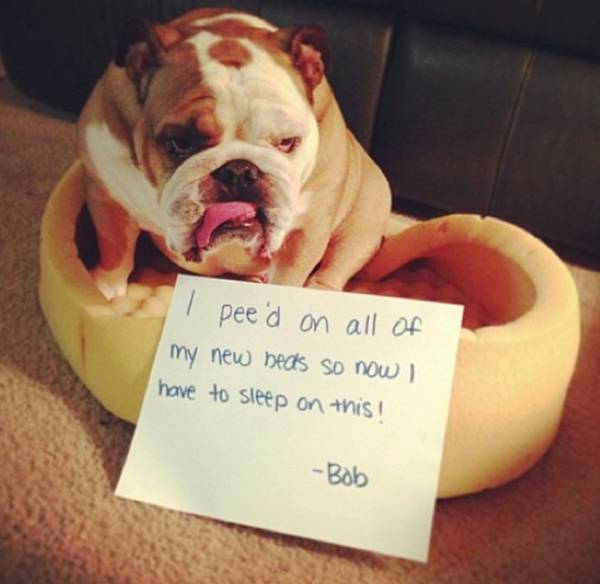 Sometimes, it’s just too much effort to get up