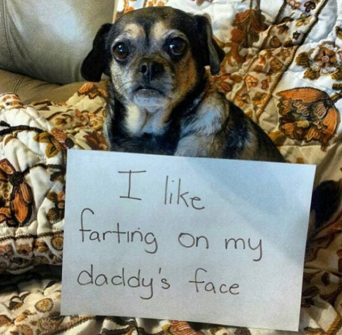 That’s just plain rude
