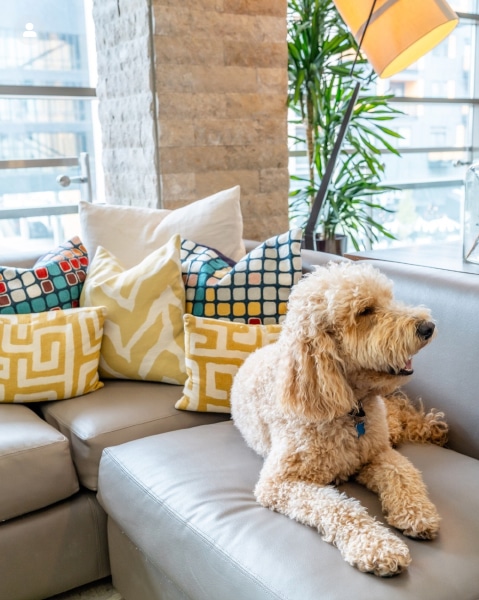 The Alexander, Indianapolis