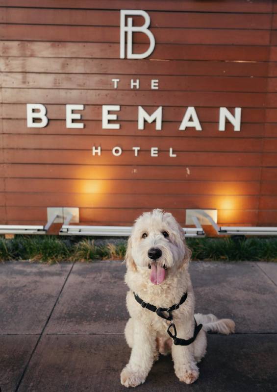 The Beeman Hotel