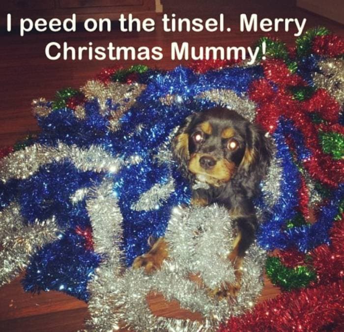 Tinsel tinkle