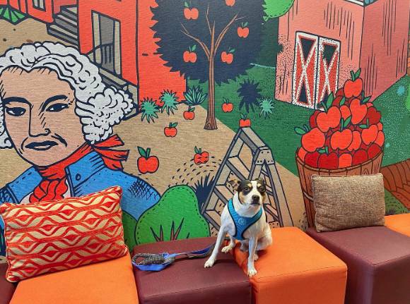 Tru by Hilton Winchester