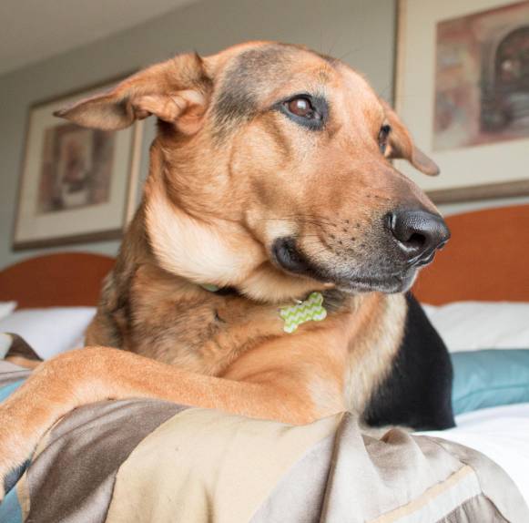 Wingate by Wyndham Winchester