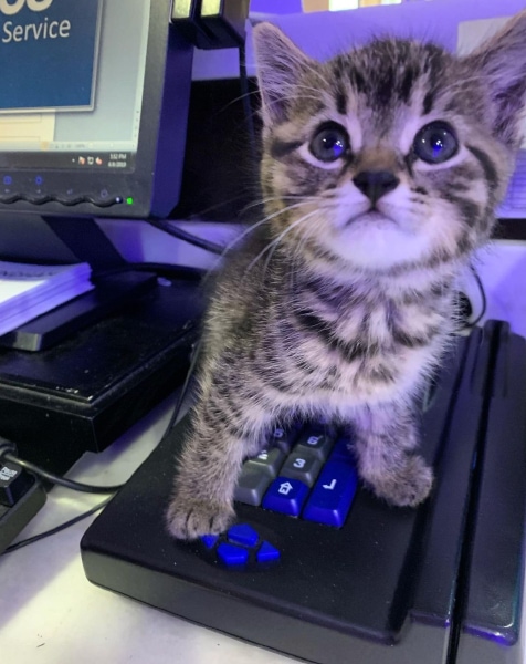 Wyndham Indianapolis West