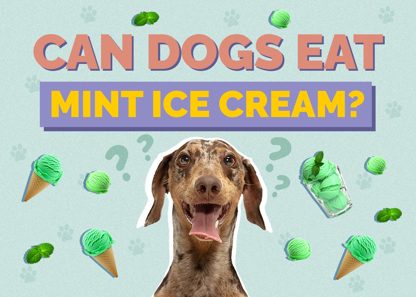 Can Dogs Eat Mint Ice Cream