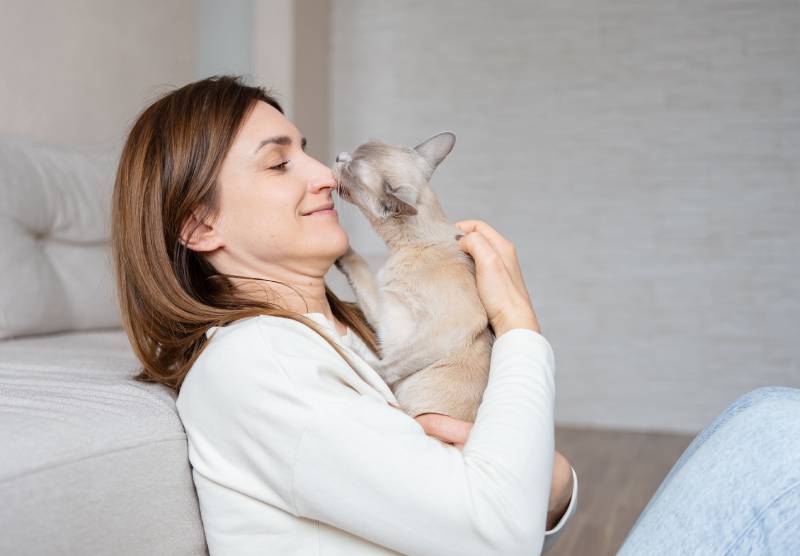 cat licks the nose of a young beautiful woman