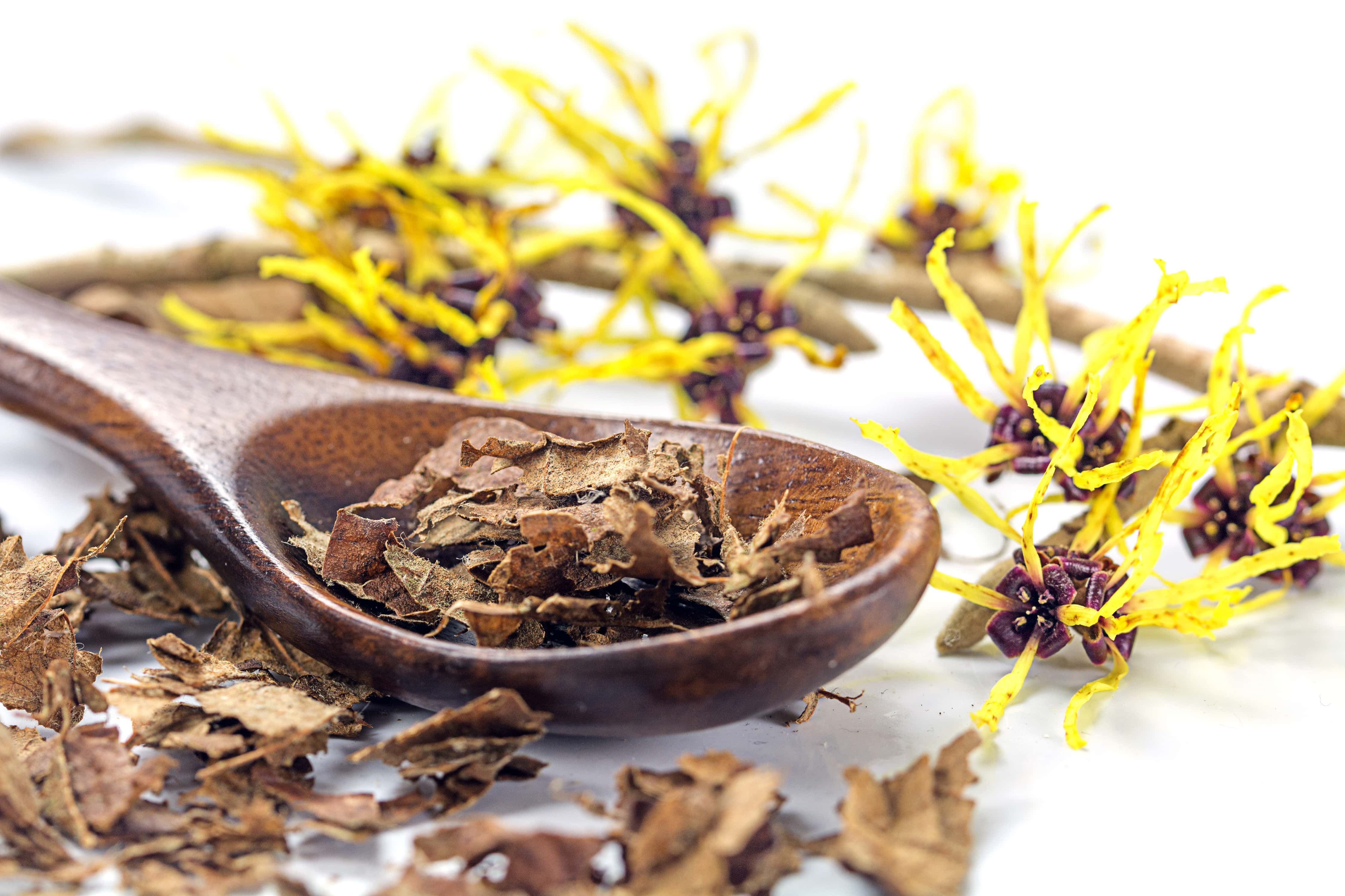 dried witch hazel and a wooden spoon