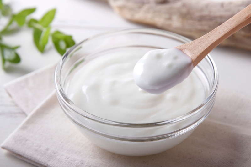fresh yogurt on the table