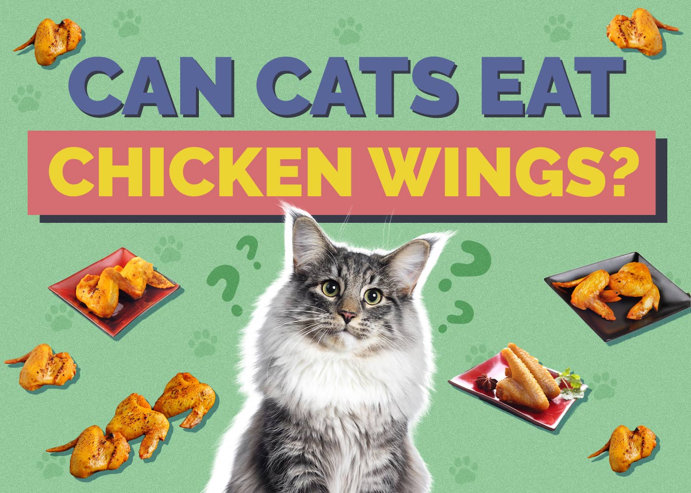 Can Cats Eat Chicken Wings