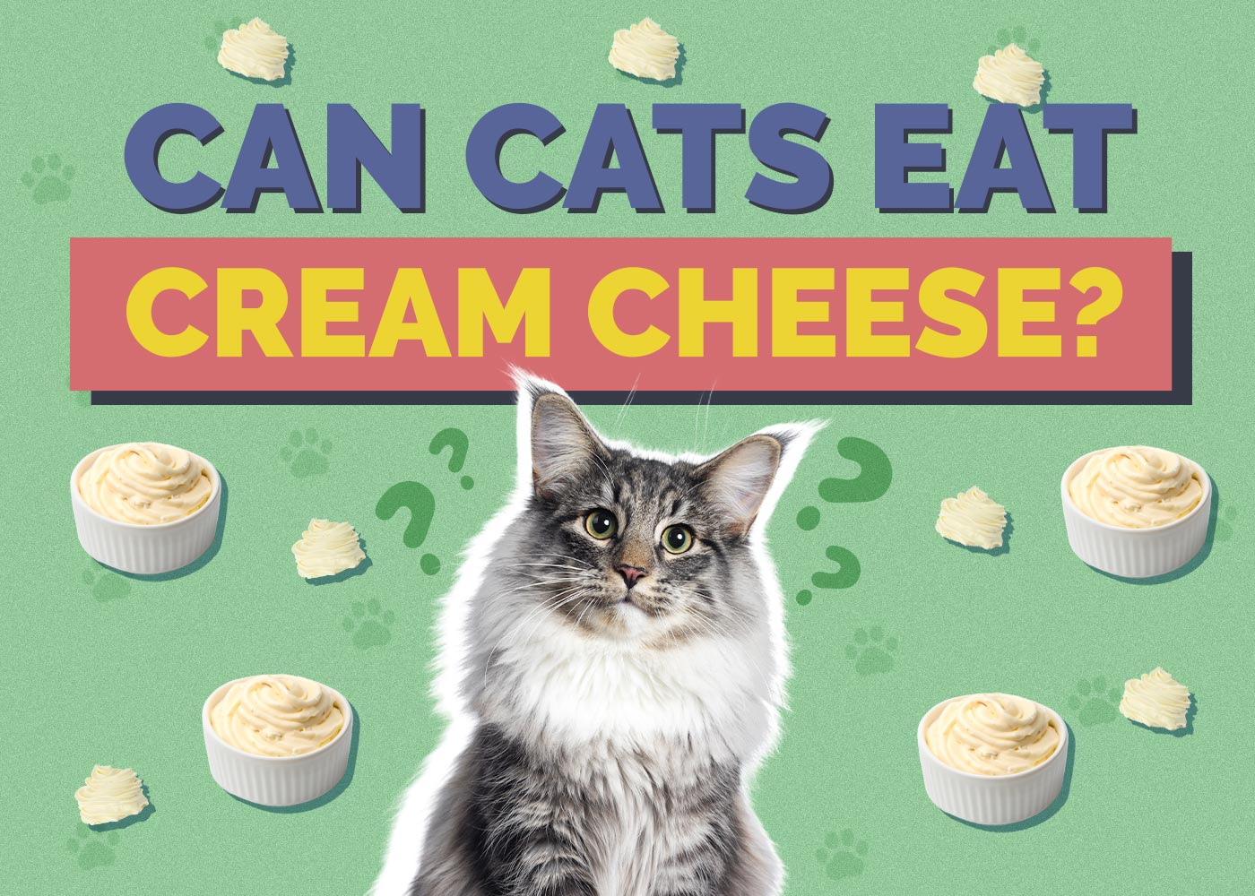 Can Cats Eat Cream Cheese
