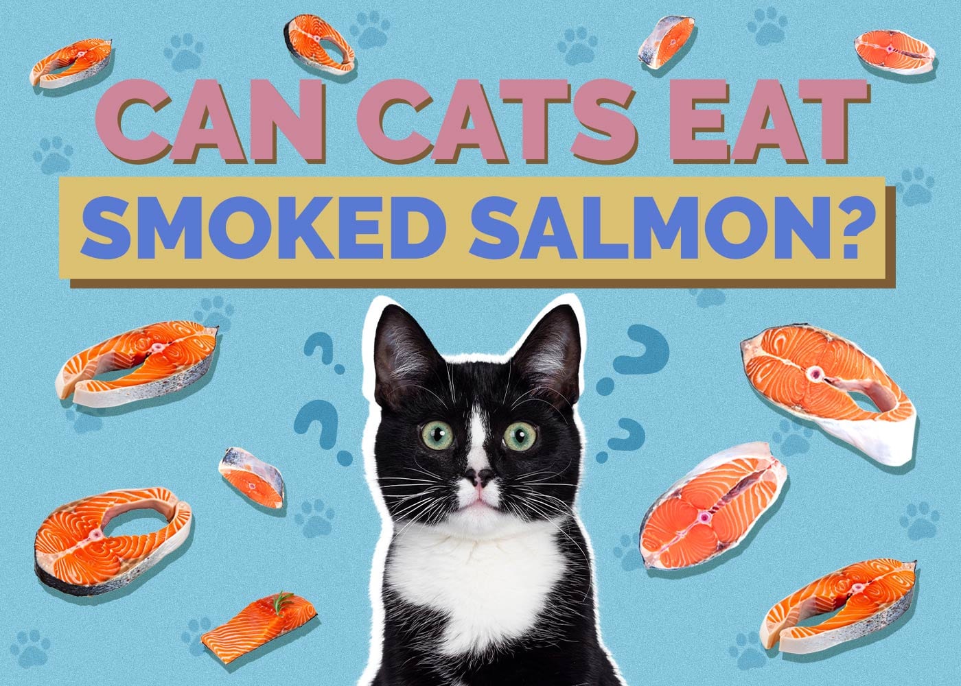 Can Cats Eat Smoked Salmon