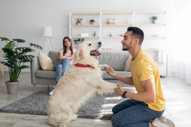 man-playing with his dog