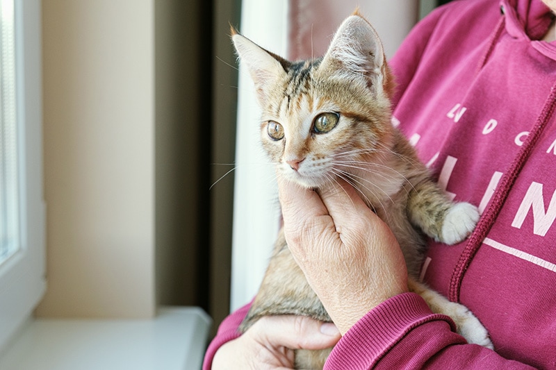 old woman carrying a cat in her arms