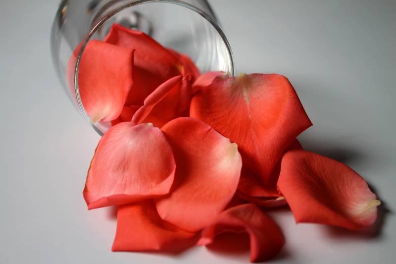 red rose petals spilling from glass