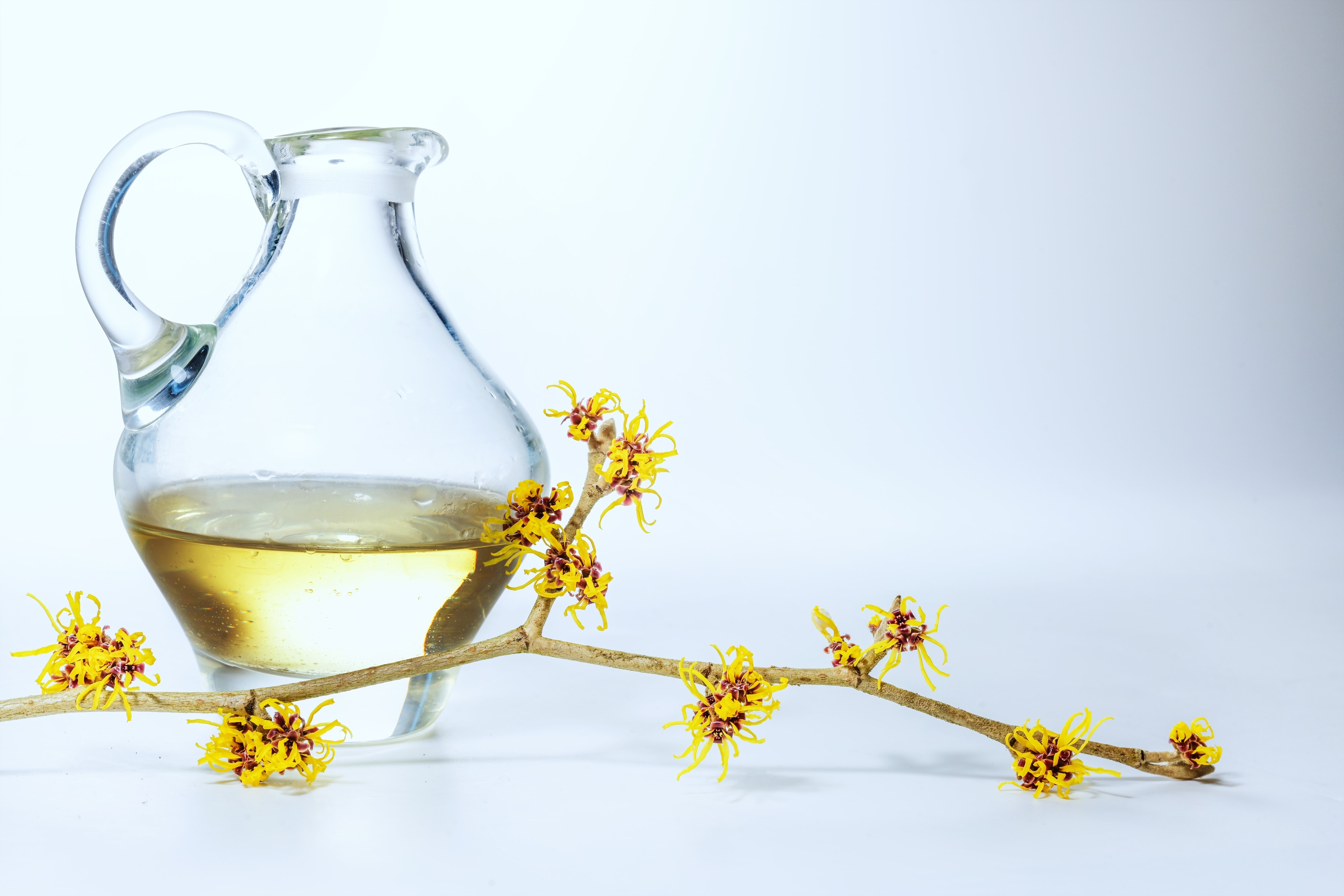 witch hazel branch and essential oil