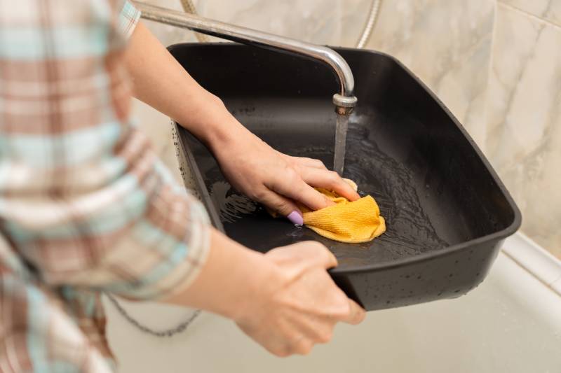 woman washing cat litter box in bathroom