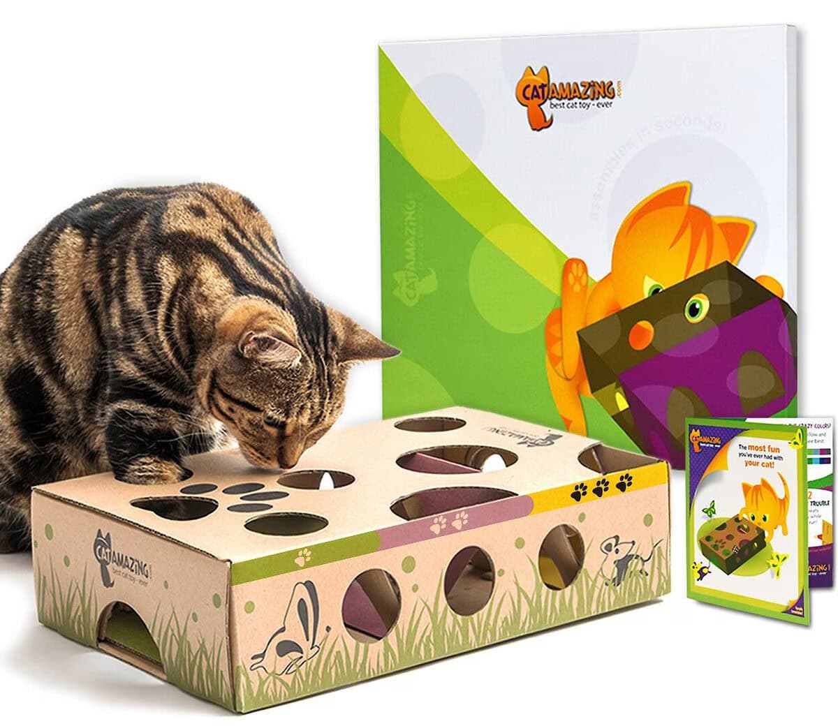 Cat Amazing Interactive Treat Maze & Puzzle Cat Toy