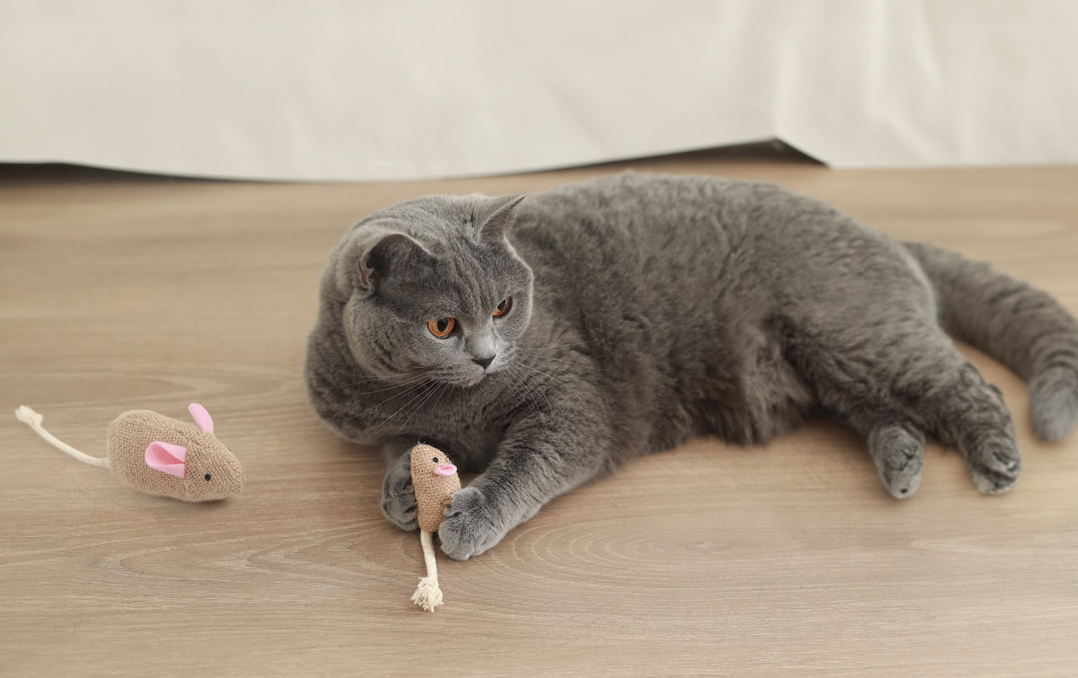Hepper Catnip Mice Toy Set
