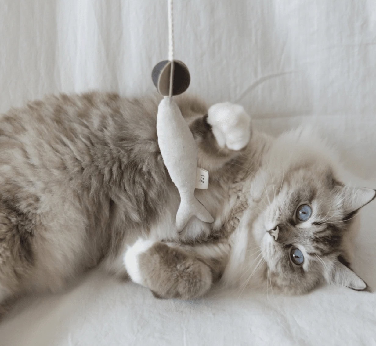Hepper Fish & Chews Fish Cat Toy