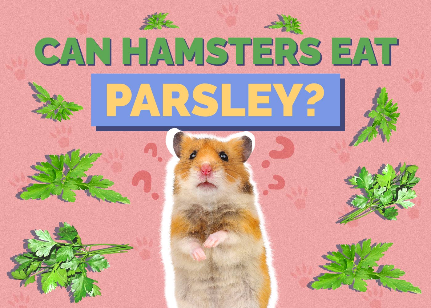 Can Hamsters Eat Parsley