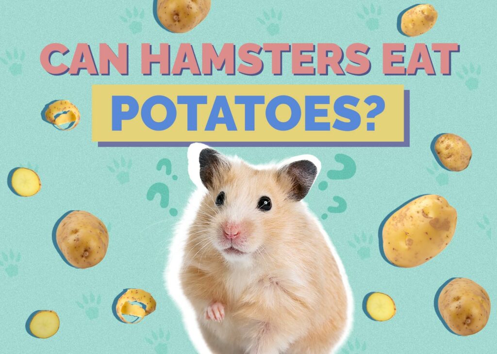 Can Hamsters Eat Potatoes