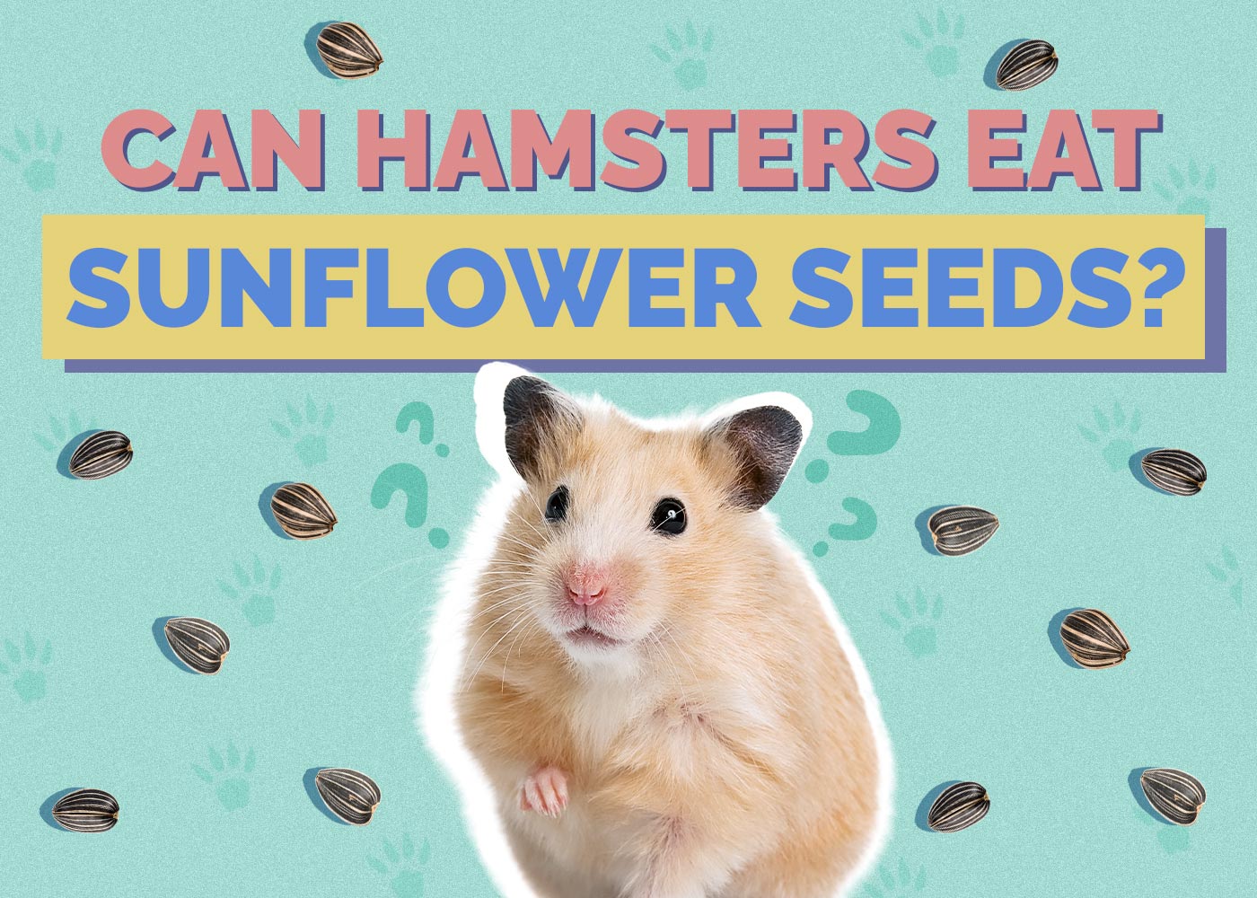 Can Hamsters Eat Sunflower Seeds
