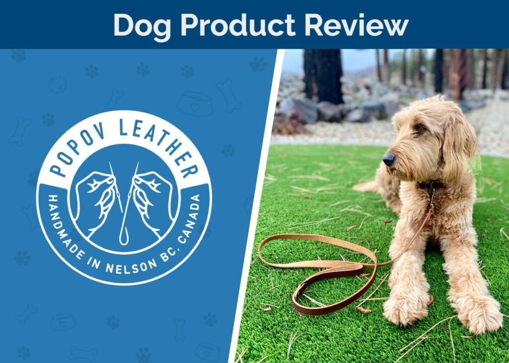 Hepper_SAPR_Popov Leather Dog Collar & Leash Review