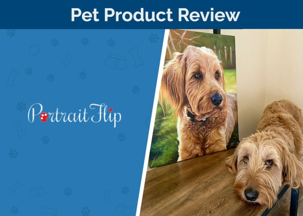 Hepper_SAPR_PortraitFlip Pet Portrait Review