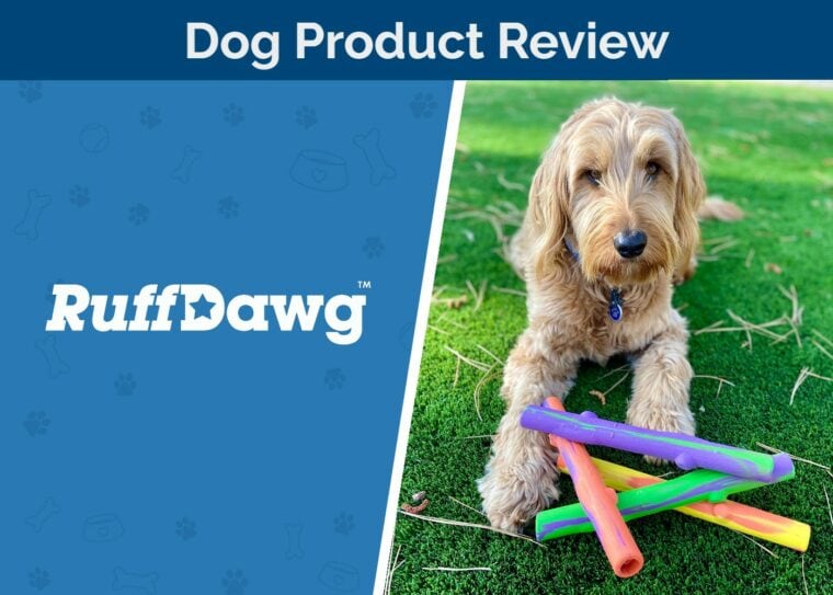 Toy Ruff Ruff Dawg Stick & Twig Toys Review 2026: Our Expert’s Opinion | Hepper ...