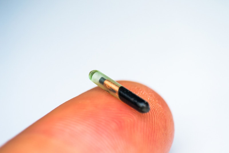 Microchip for pet