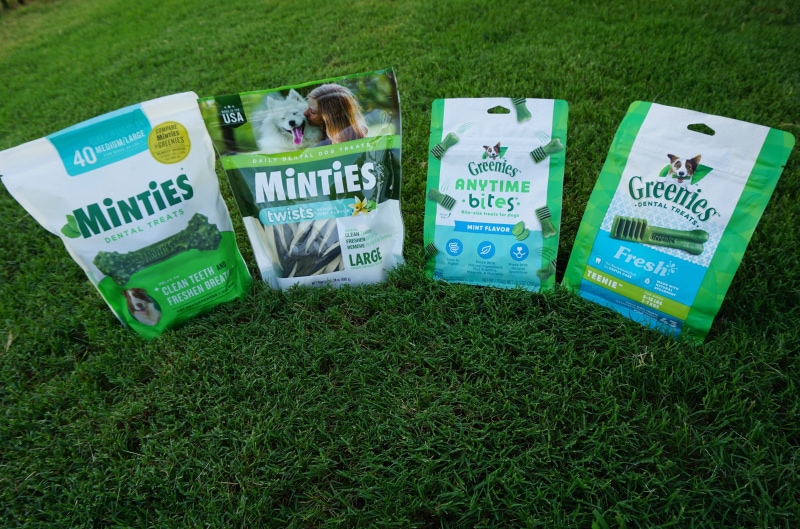 Minties vs Greenies Dental Dog Treats - products on grass