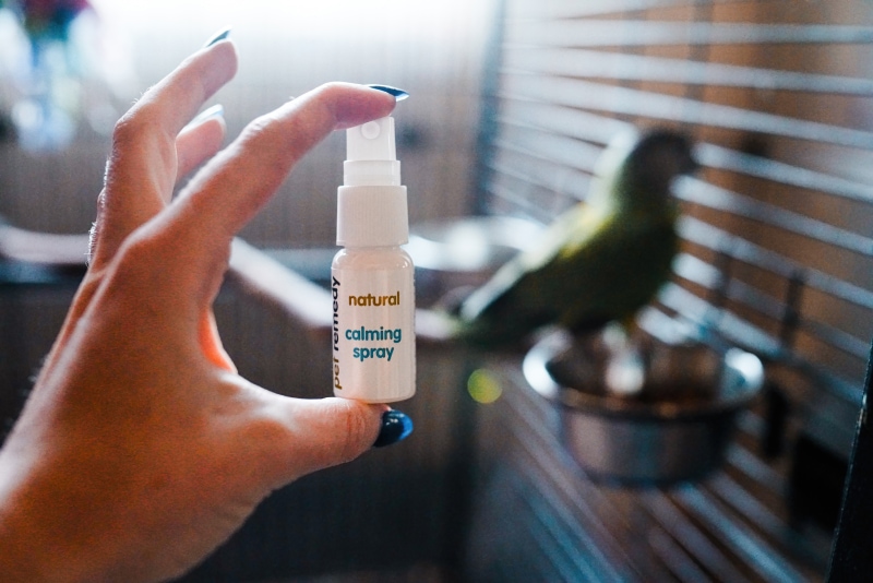 Pet Remedy Natural Bird Calming Kit - calming spray