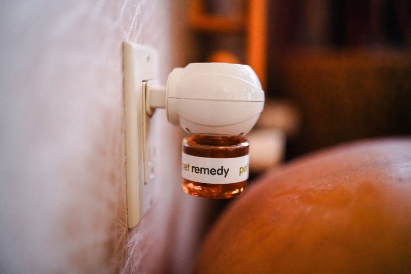 Pet Remedy Natural Bird Calming Kit - wall plug diffuser