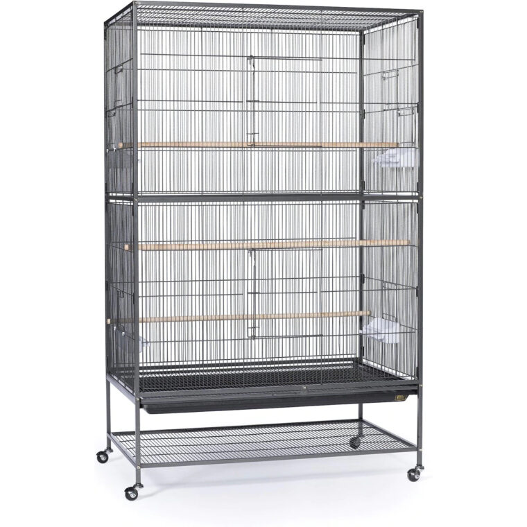 9 Best Cages for Quaker Parrots – 2026 Reviews & Top Picks | Hepper Pet ...
