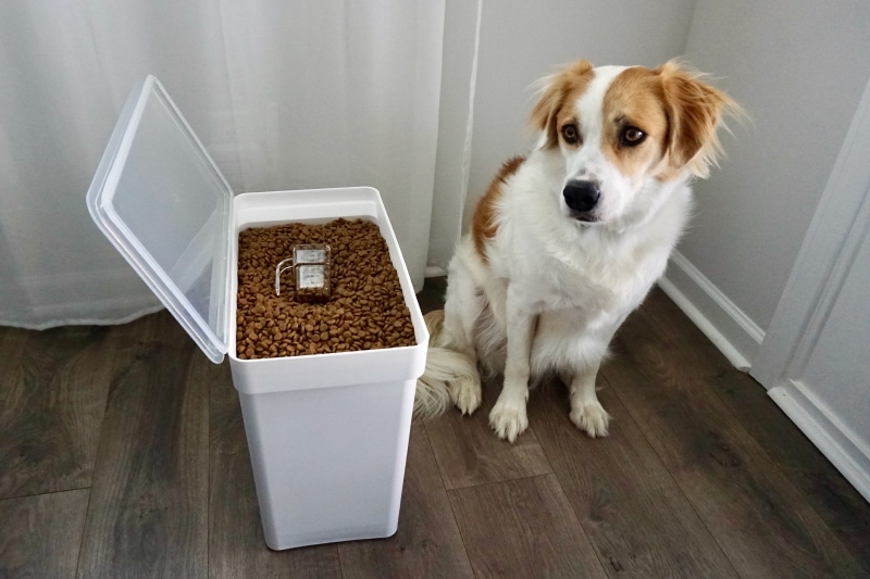 Yamazaki Rolling Airtight Pet Food Container - val sitting next to the product