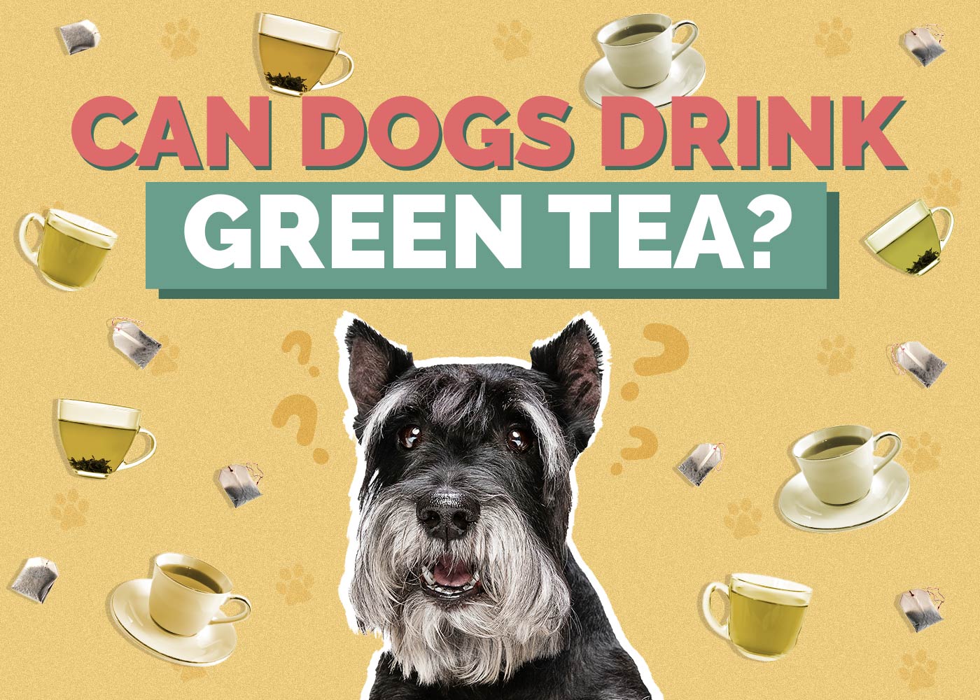 Can Dogs Drink Green Tea