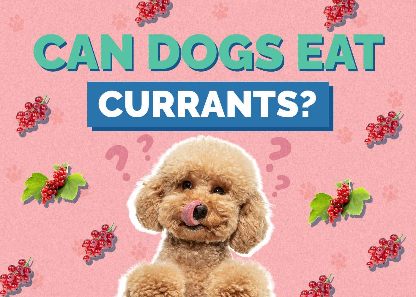 Can Dogs Eat Currants