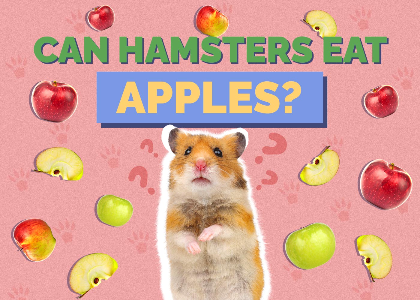 Can Hamsters Eat Apples