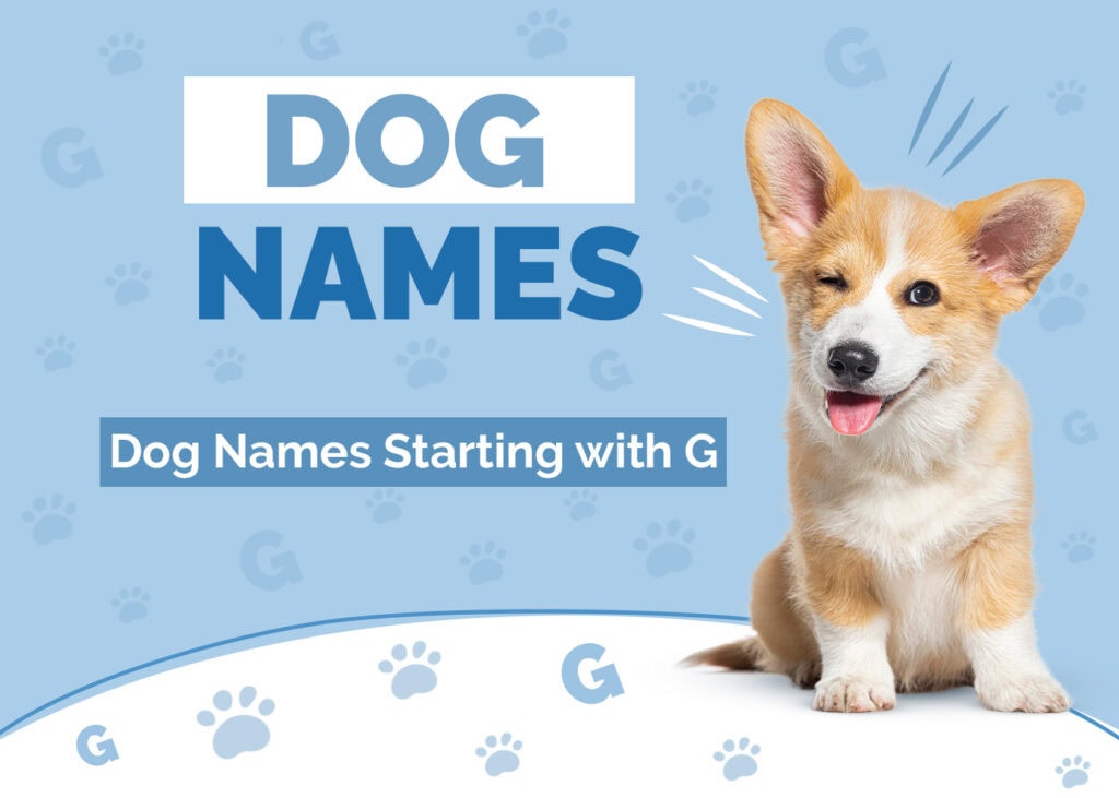 Dog Names Starting With G