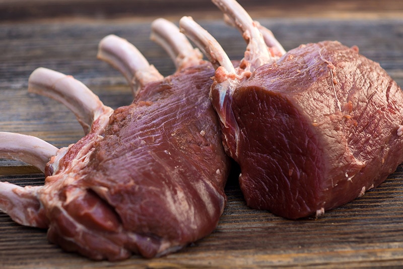 Fresh venison meat