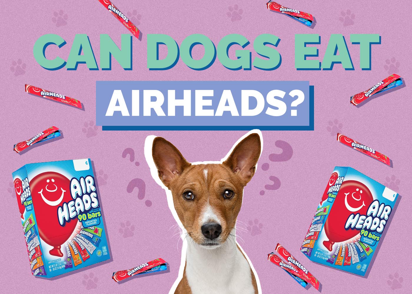 Can Dogs Eat Airheads