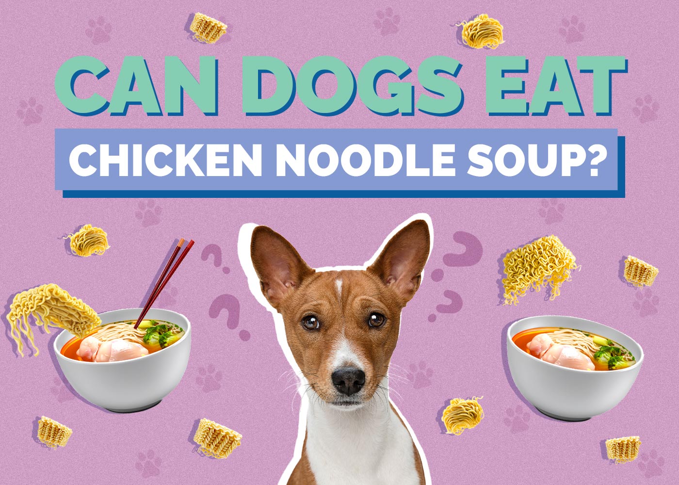 Can Dogs Eat Chicken Noodle Soup