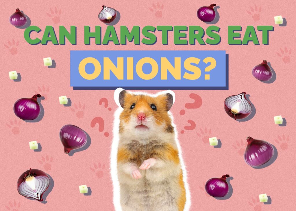 Can Hamsters Eat Onions