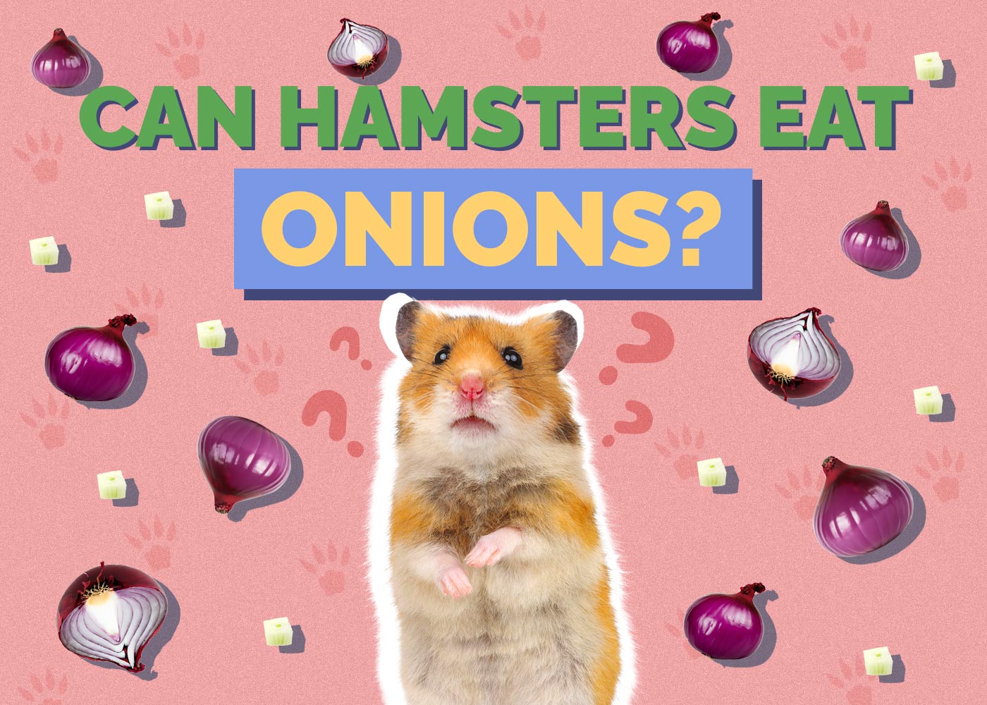Can Hamsters Eat Onions