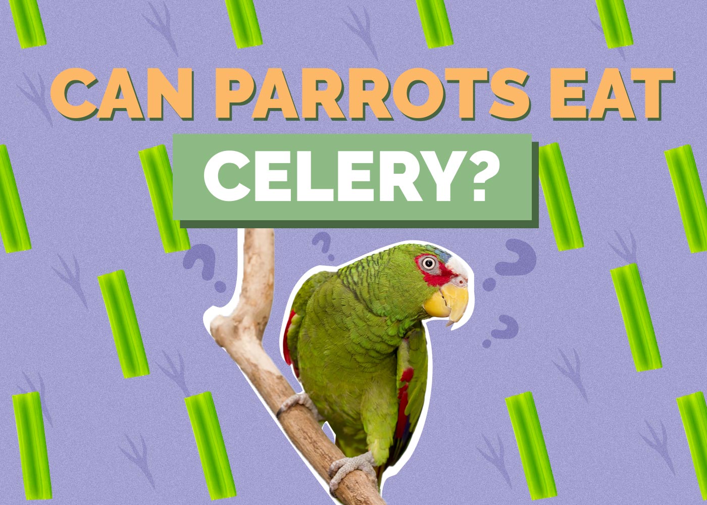 Can Parrots Eat Celery