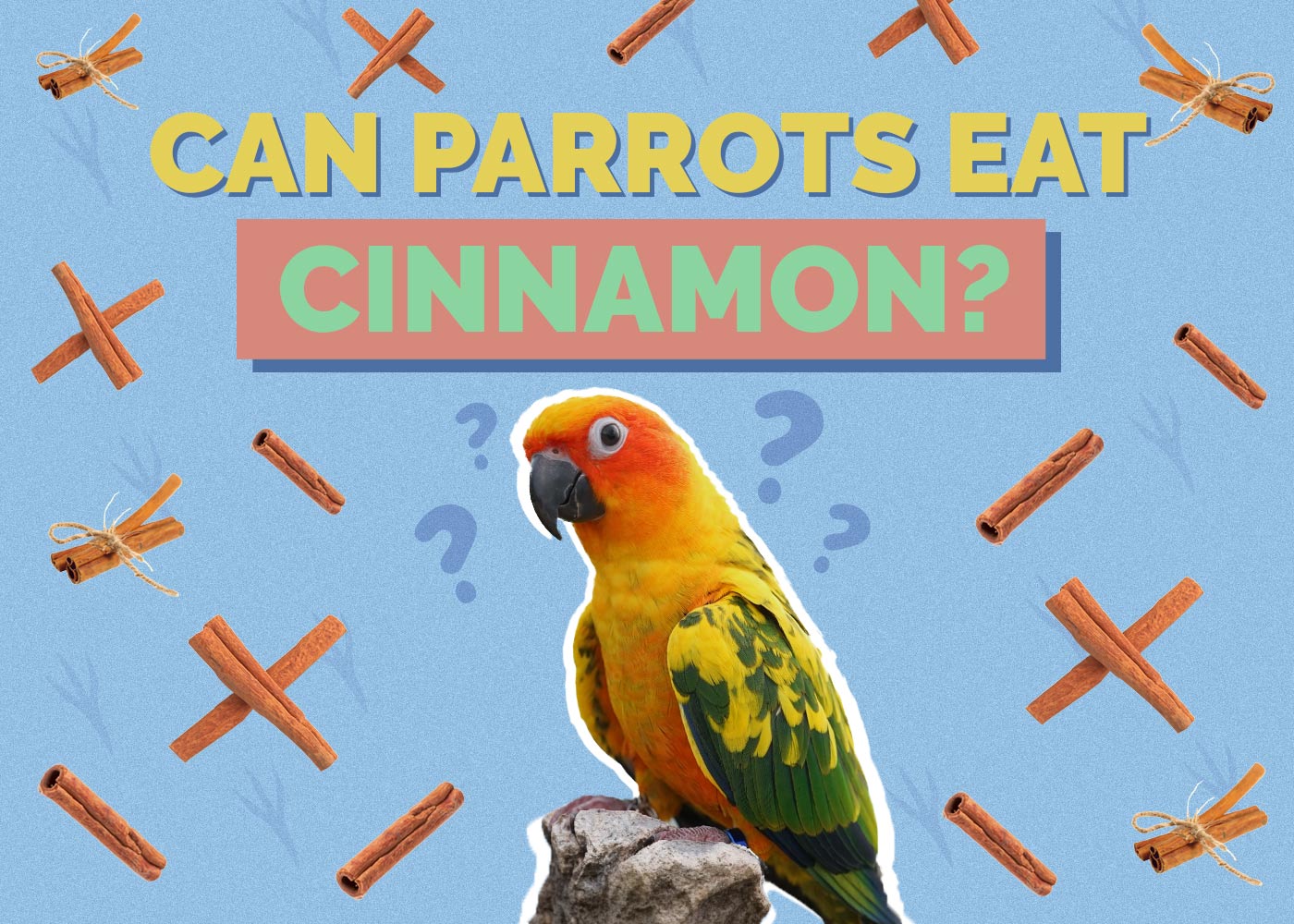Can Parrots Eat Cinnamon